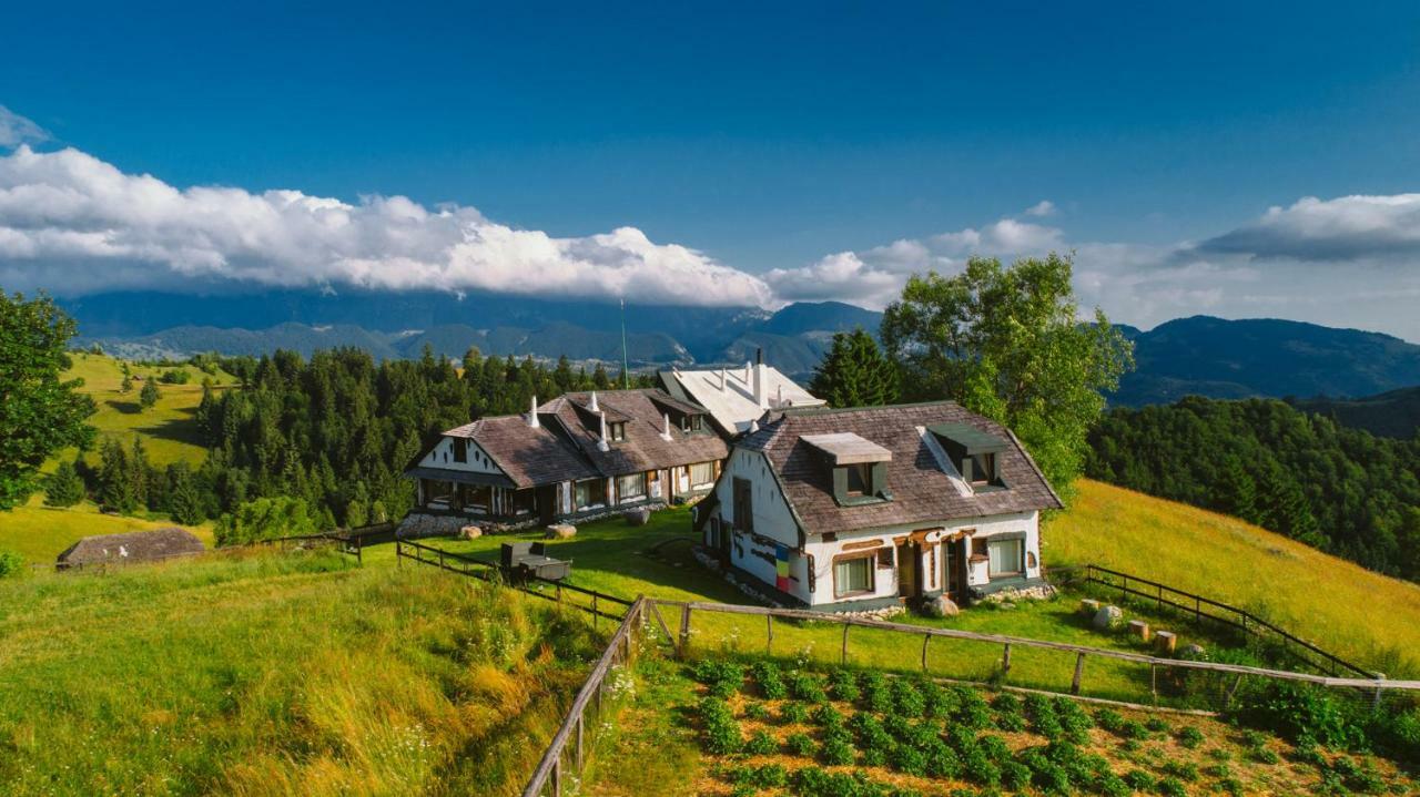 Amfiteatrul Transilvania Moieciu de Jos Exterior photo